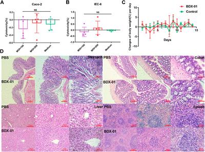 Bacteroides dorei BDX-01 alleviates DSS-induced experimental colitis in mice by regulating intestinal bile salt hydrolase activity and the FXR-NLRP3 signaling pathway